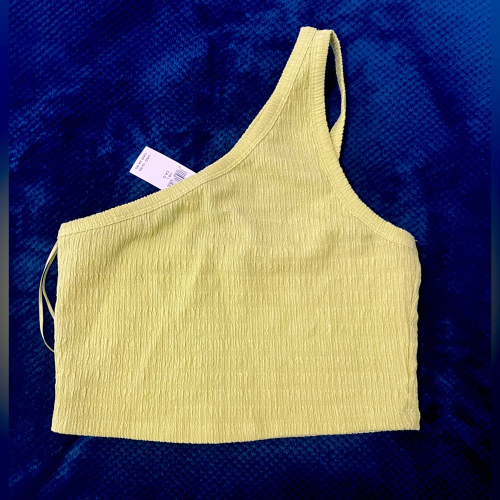 American Eagle Crop Top